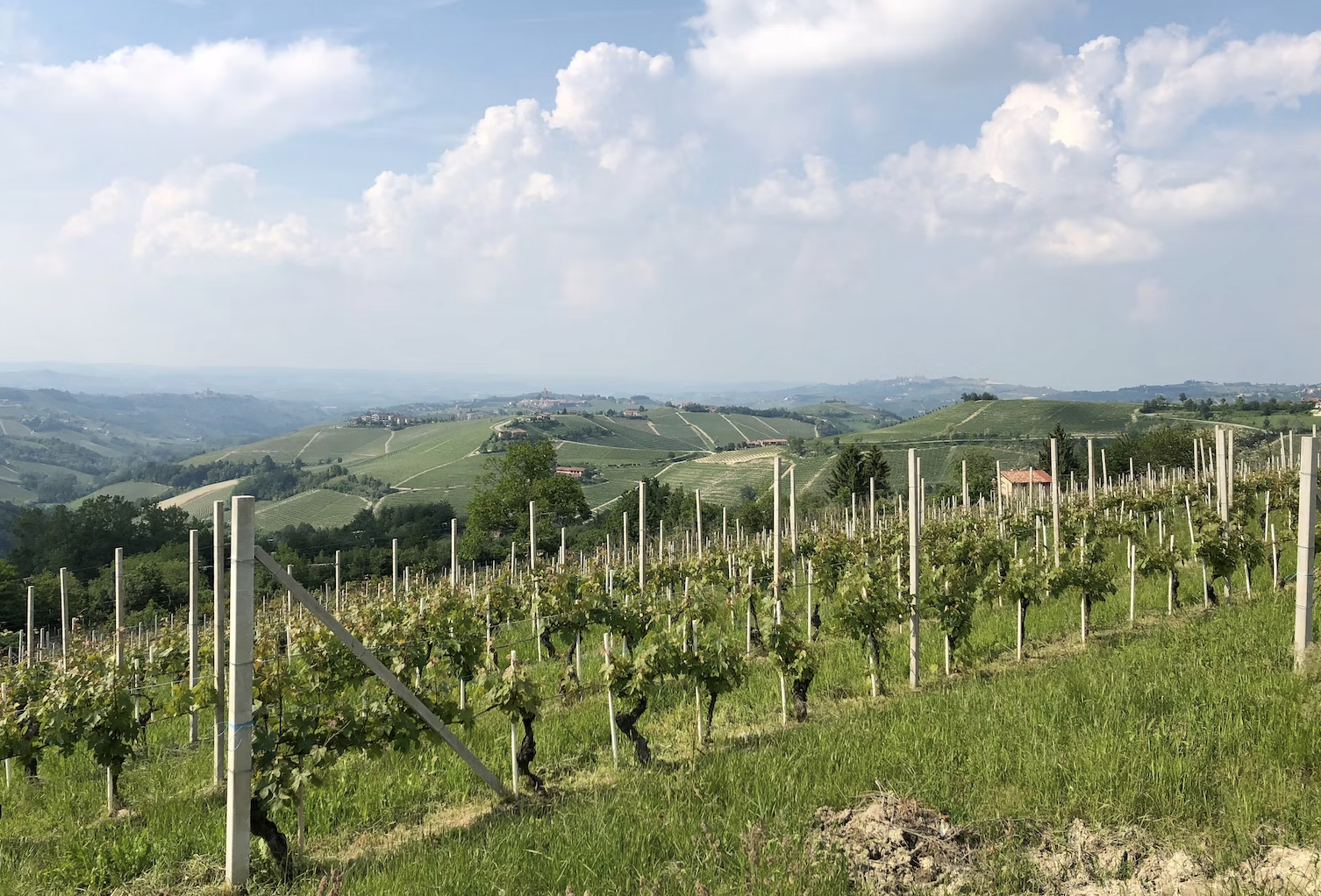 Italian Wine Ambassador Susannah Gold shares Oltrepo Pavese wines